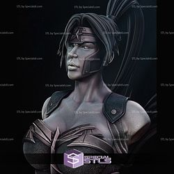 Artemis DC Hero Bust 3D Printer Files