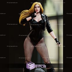 Black Canary Sexy 3D Printer Files