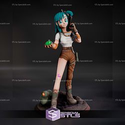 Bulma and Radar Dragonball 3D Printer Files