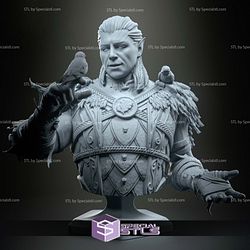 Bust of Halsin Baldurs Gate 3 3D Printer Files