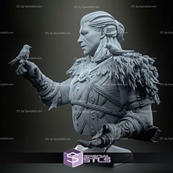 Bust of Halsin Baldurs Gate 3 3D Printer Files