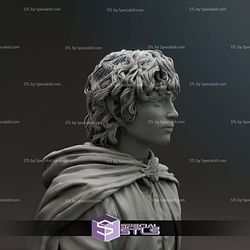 Elijah Wood Frodo Baggins Bust 3D Printer Files