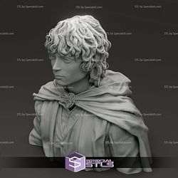 Elijah Wood Frodo Baggins Bust 3D Printer Files