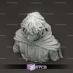 Elijah Wood Frodo Baggins Bust 3D Printer Files