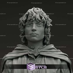 Elijah Wood Frodo Baggins Bust 3D Printer Files