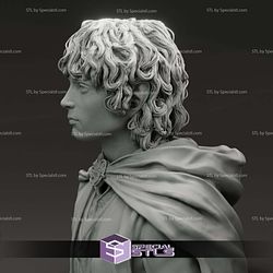 Elijah Wood Frodo Baggins Bust 3D Printer Files