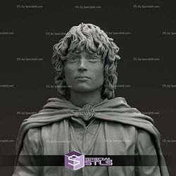 Elijah Wood Frodo Baggins Bust 3D Printer Files