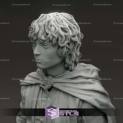 Elijah Wood Frodo Baggins Bust 3D Printer Files