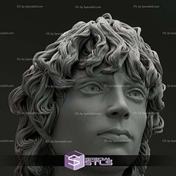 Elijah Wood Frodo Baggins Bust 3D Printer Files