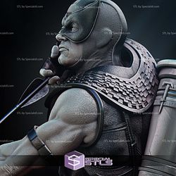 Hawkeye 2024 Classic Bust 3D Printer Files