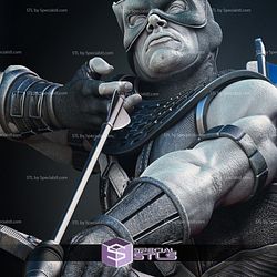 Hawkeye 2024 Classic Bust 3D Printer Files