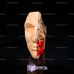 Human Head Anatomy 3D Model Sculpture