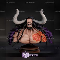 Kaido Angry Bust 3D Printer Files