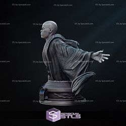 Mace Windu 2024 Bust 3D Printer Files