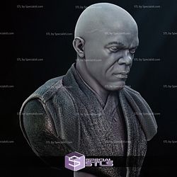 Mace Windu 2024 Bust Portrait 3D Printer Files