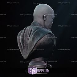 Mace Windu 2024 Bust Portrait 3D Printer Files