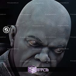 Mace Windu 2024 Starwars 3D Printer Files