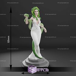 Minotaur Medusa Pegasus and Perseu Mythology 3D Printer Files