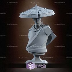 Mizu Blue Eye Samurai Bust 3D Printer Files