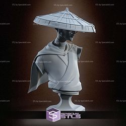 Mizu Blue Eye Samurai Bust 3D Printer Files