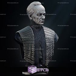 Palpatine 2024 Bust Portrait 3D Printer Files