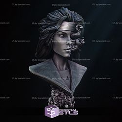 Pestilence First Horsemen Portrait Bust 3D Printer Files