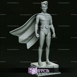 Robin Animated 3D Model Sculpture