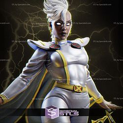 Storm Thunder 3D Model Sculpture