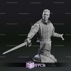 Wyll Baldurs Gate 3 Bust 3D Printer Files