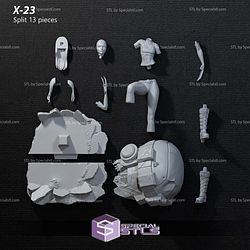 X-23 Young 3D Printer Files