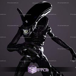 Xenomorph Alien 3D Printer Files