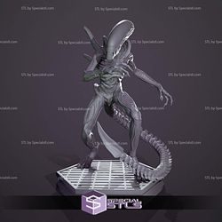 Xenomorph Alien 3D Printer Files