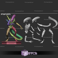 Xenomorph Alien 3D Printer Files