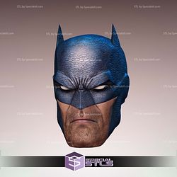 Custom Figure Head STL Collection - Batman Hush