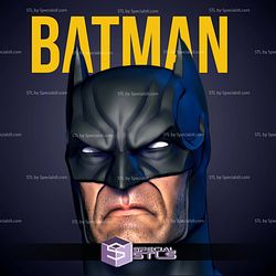 Custom Figure Head STL Collection - Batman Lee Bermejo