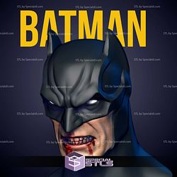 Custom Figure Head STL Collection - Batman Lee Bermejo