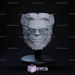 Custom Figure Head STL Collection - Beast MCU