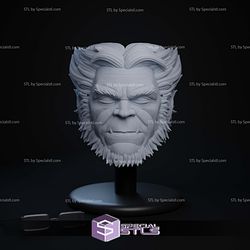 Custom Figure Head STL Collection - Beast MCU