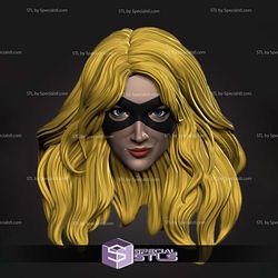 Custom Figure Head STL Collection - Black Canary V2