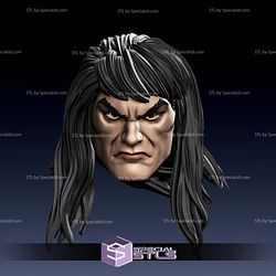 Custom Figure Head STL Collection - Conan John Buscema