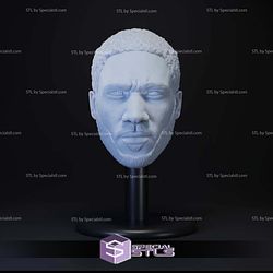 Custom Figure Head STL Collection - Donald Glover Prowler