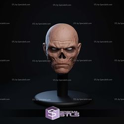 Custom Figure Head STL Collection - Ghoul Fallout