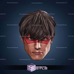 Custom Figure Head STL Collection - Jason Todd