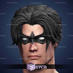 Custom Figure Head STL Collection - Nightwing