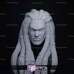 Custom Figure Head STL Collection - Quinlan Vos Momoa