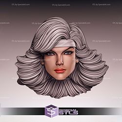 Custom Figure Head STL Collection - Silver Sable