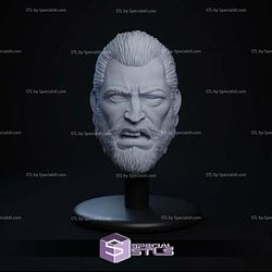 Custom Figure Head STL Collection - The Immortal Dead Invincible
