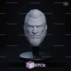Custom Figure Head STL Collection - The Immortal Invincible