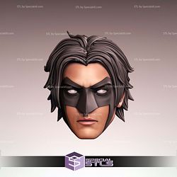 Custom Figure Head STL Collection - Tim Drake