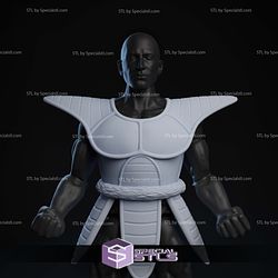 Custom Figure STL Collection - Saiya Armor